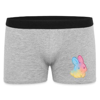 Pastell-Regenbogenhase - Männer Boxer Shorts - Grau meliert - Vorne