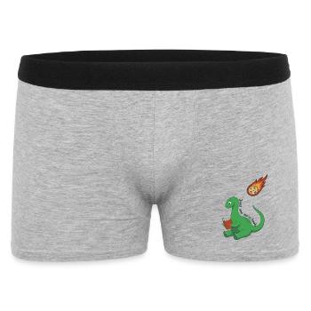 Nur noch ein Buch Dinosaurier - Männer Boxer Shorts - Grau meliert - Vorne
