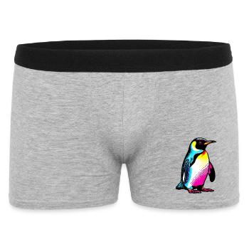 Pingouin - Boxer Homme - gris chiné - Devant