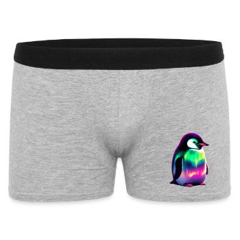 Pingouin - Boxer Homme - gris chiné - Devant