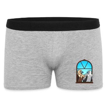 Urbane Aasgeier, das Fensterduo Vögel Portrait - Männer Boxer Shorts - Grau meliert - Vorne