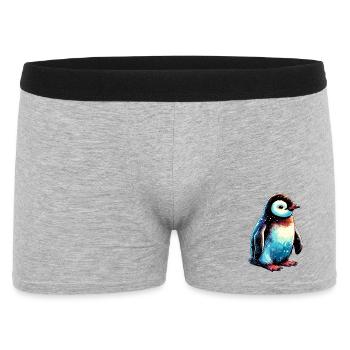 Pingouin - Boxer Homme - gris chiné - Devant