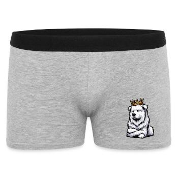 White Shepherd Shepherd Shepherd Dogs - Men's Boxer Shorts - heather grey - Front