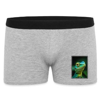 Lézard des lézards - Boxer Homme - gris chiné - Devant