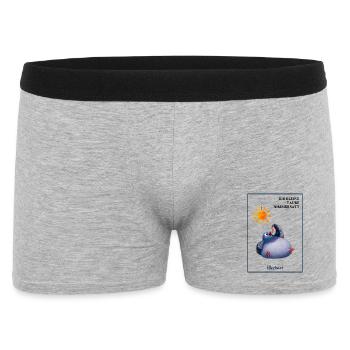 DIE KLEINE TAUBE NIMMERSATT - Herbert - mit Wurm - Männer Boxer Shorts - Grau meliert - Vorne