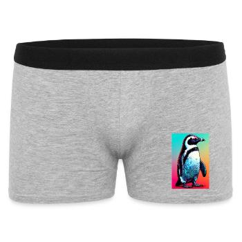 pingouin - Boxer Homme - gris chiné - Devant