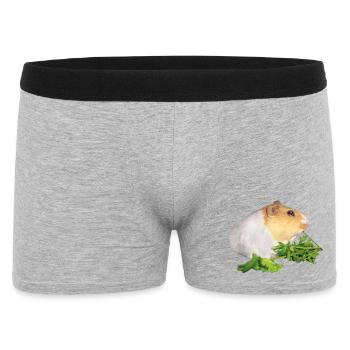 Cobaye Rossi 1 - Boxer Homme - gris chiné - Devant