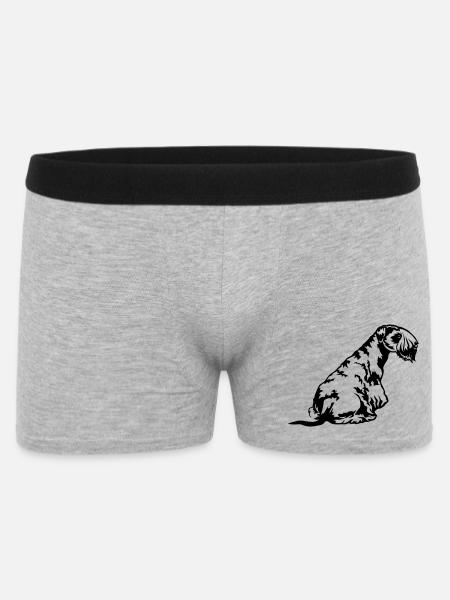 Cesky Terrier - Männer Boxer Shorts - Grau meliert