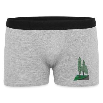 Avenue Poplar | Peuplier - Boxer Homme - gris chiné - Devant