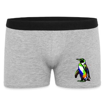 Pingouin - Boxer Homme - gris chiné - Devant