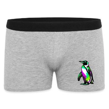 Pingouin - Boxer Homme - gris chiné - Devant