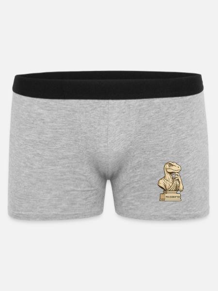 Philosoraptor - Männer Boxer Shorts - Grau meliert