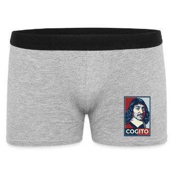 Descartes Cogito Pop Art Portrait - Men's Boxer Shorts - heather grey - Front
