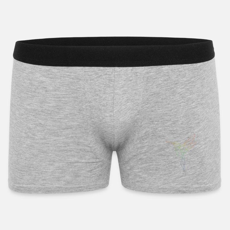 Geometrischer Regenbogenvogel - Männer Boxer Shorts - Grau meliert