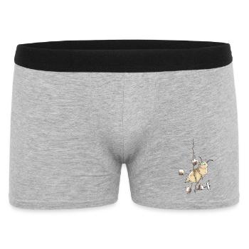 Aventureux Capricorne - Alpinistes - Boxer Homme - gris chiné - Devant