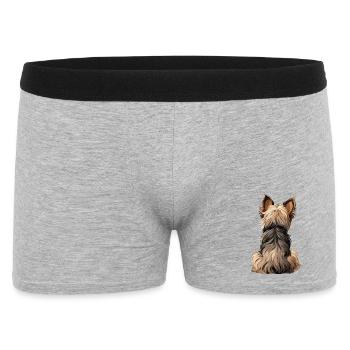 Yorkshire Terrier - Boxer Homme - gris chiné - Devant