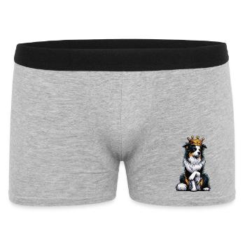 Berger australien Aussie Aussie Propriétaires Aussies - Boxer Homme - gris chiné - Devant
