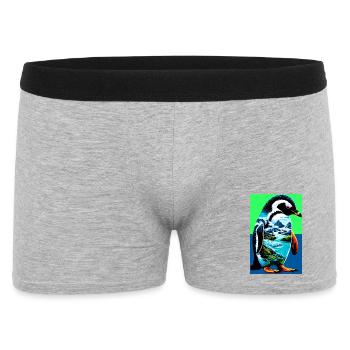 pingouin - Boxer Homme - gris chiné - Devant