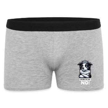 Before You Ask Border Collie Hütehund Collie - Men's Boxer Shorts - heather grey - Front