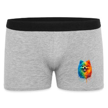 Pomeranian in bright colours - Men's Boxer Shorts - heather grey - Front