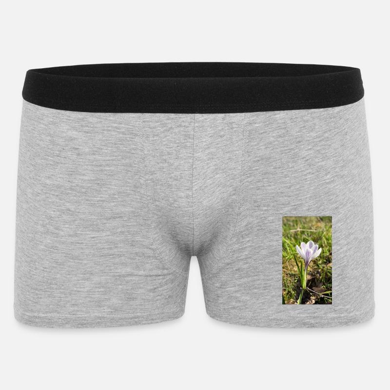 Krokus - Männer Boxer Shorts - Grau meliert