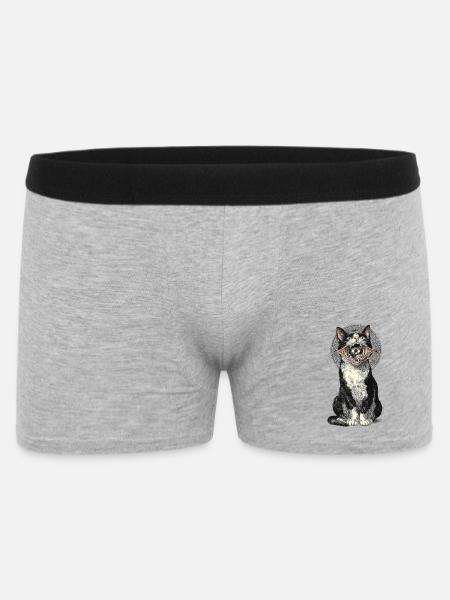 Mystisk kattemareridt med et øje - Boxer Shorts til mænd - grå meleret