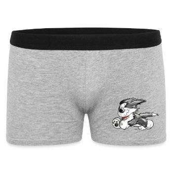 Beardie Power - chien - berger de chien - Boxer Homme - gris chiné - Devant
