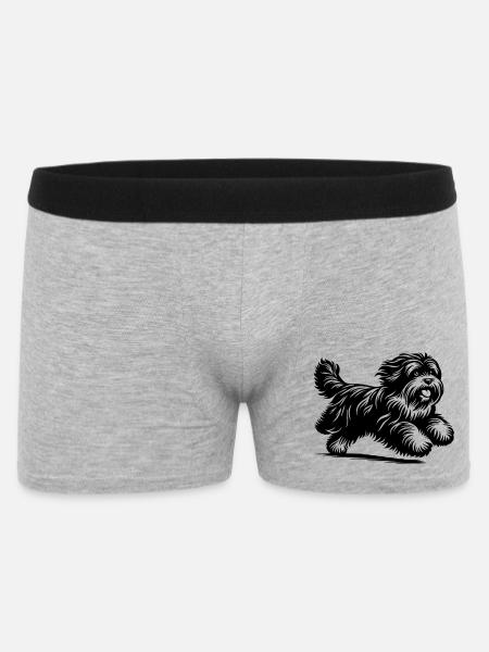 Tibetan Terrier - Men's Boxer Shorts - heather grey