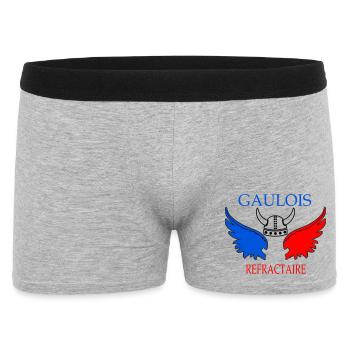 Ailes tricolores de Gaulois Refractaire - Boxer Homme - gris chiné - Devant