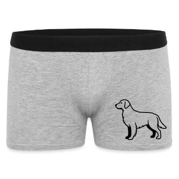 Résumé du chien labrador retriever - Boxer Homme - gris chiné - Devant