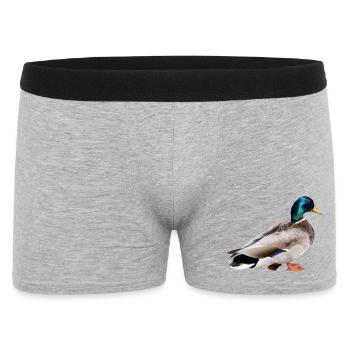 Colvert mâle - Boxer Homme - gris chiné - Devant