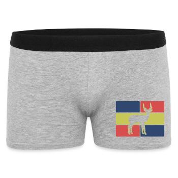 Safari Afrique Antelope - Boxer Homme - gris chiné - Devant