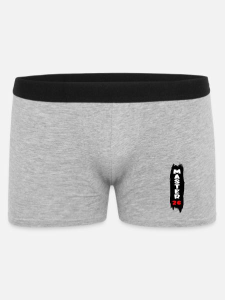 Master 2026 - Boxer Homme - gris chiné