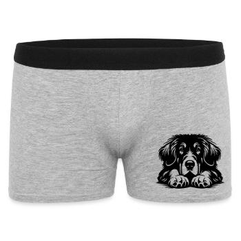 Tête de grand danois tibétain avec pattes - Boxer Homme - gris chiné - Devant