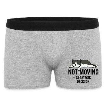 T-shirt Lazy cat – Not moving - Boxer Homme - gris chiné - Devant