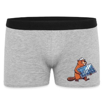 Beaver Installateur Panneau Solaire Ingénieur Dessin Animé - Boxer Homme - gris chiné - Devant