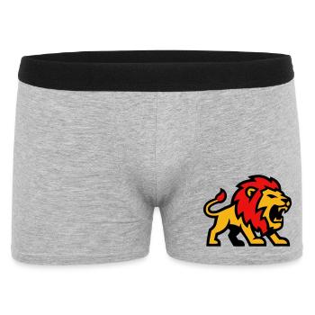 Logo de la mascotte du Lion - Boxer Homme - gris chiné - Devant
