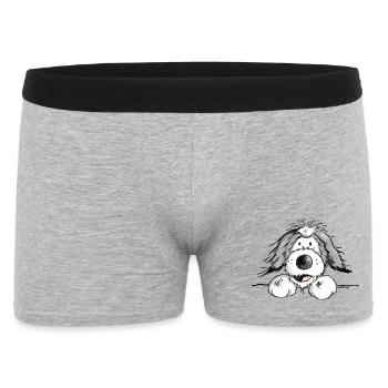 Happy Collie barbu - Boxer Homme - gris chiné - Devant