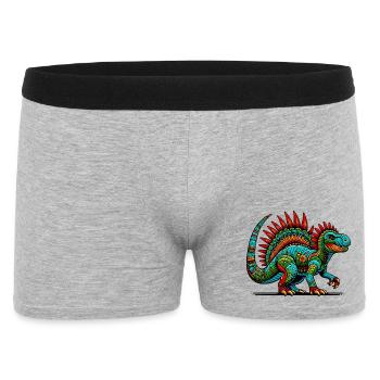 Dinosaure - Boxer Homme - gris chiné - Devant