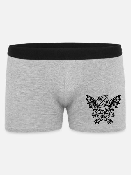 mittelalter-wappen-drache-heraldik-symbol_2 - Männer Boxer Shorts - Grau meliert