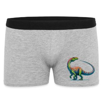 Dinosaurier - Männer Boxer Shorts - Grau meliert - Vorne