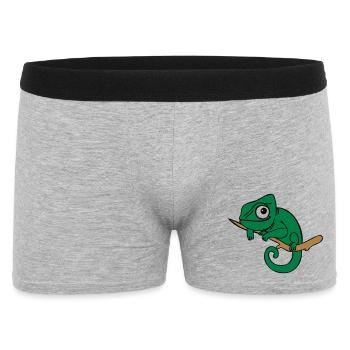 Lui das Chamäleon, dreifarbig - Männer Boxer Shorts - Grau meliert - Vorne