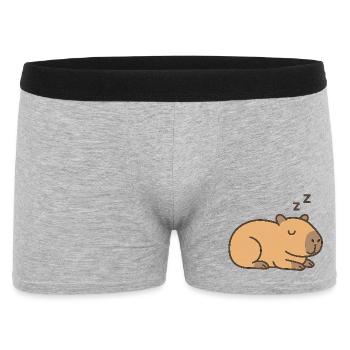 Schlafendes Wasserschwein - Männer Boxer Shorts - Grau meliert - Vorne