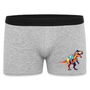 Dino2 - Boxer Homme - gris chiné - Devant