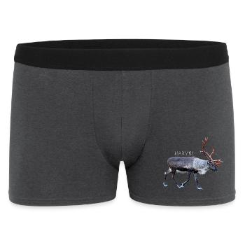 NARVIK - Männer Boxer Shorts - Anthrazit - Vorne