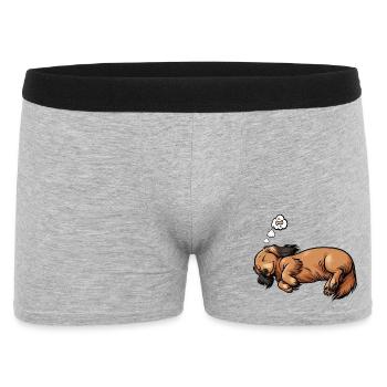 Long-haired Dachshund Dachshund Holder Dachshund Tekkel - Men's Boxer Shorts - heather grey - Front