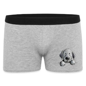 Heureux chien Black Labrador Retriever - Boxer Homme - gris chiné - Devant