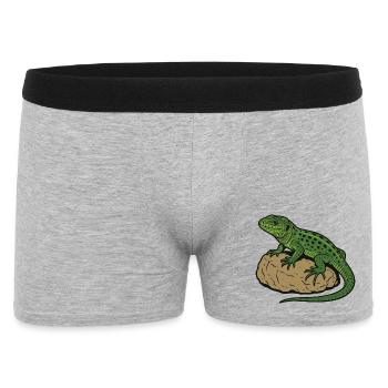 Lizard on stone - Men's Boxer Shorts - heather grey - Front