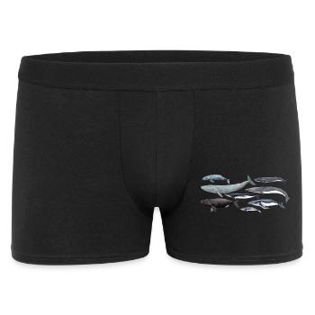 Wale - Wale - Baleines - Mysticeti - Männer Boxer Shorts - Schwarz - Vorne