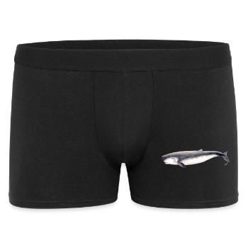sperme pygmée cachalot pygmée baleine Kogia breviceps - Boxer Homme - noir - Devant